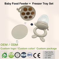 Sucette personnalisée écologique pour enfants, sucette à fruits frais pour bébé, sucette à nourriture pour bébé avec plateau de congélation en silicone pour aliments pour bébés
