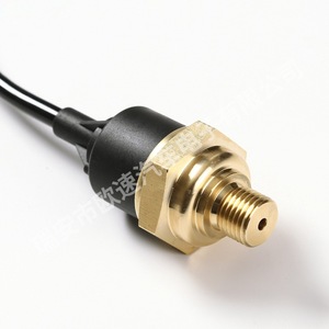 เซ็นเซอร์วัดแรงดันน้ำมัน 1452862 แบบเกลียวติดตั้งชนิด Piezoresistive สำหรับเครื่องยนต์รถบรรทุก - Product Image 2