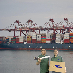 Quốc Tế Vận chuyển hậu cần công ty trong QUẢNG CHÂU/thâm quyến/Thượng Hải vận chuyển hàng hóa giao nhận DDP ddu - Product Image 4