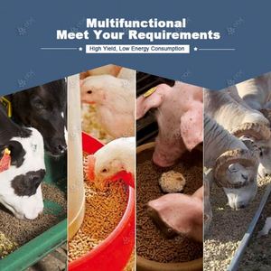 2024 top <span class=keywords><strong>vendeur</strong></span> petite volaille poulet animal bétail alimentation granulés faisant la Machine pour la fabrication <span class=keywords><strong>de</strong></span> fourrage alimentaire, herbe <span class=keywords><strong>de</strong></span> luzerne - Product Image 6