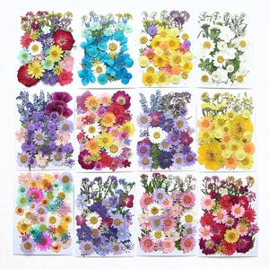 Vente en gros de mini sacs de matériaux de <span class=keywords><strong>fleurs</strong></span> sèches bricolage maquillage Nail Art cadre de téléphone décor vraies <span class=keywords><strong>fleurs</strong></span> pressées séchées naturelles pour résine - Product Image 5