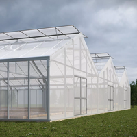 Invernaderos Agrícolas de Bajo Costo, Estructura de Acero Prefabricada, Nave para Cría de Ganado