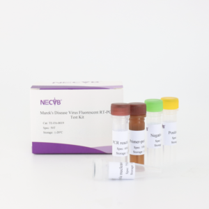 마렉스 질병 바이러스 (MDV) 실시간 형광 PCR 검출 키트 - Product Image 5
