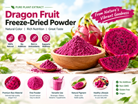 OEM Gedroogd Roze Pitaya Poeder 100% Zuivere Rode Drakenvrucht Natuurlijke Kleurstof Vitamine Smoothie Bakkerij Plastic Verpakking
