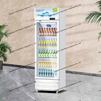 YLC-288 porte unique refroidissement direct boissons réfrigérateur vitrine crème glacée affichage congélateur pour hôtels extérieur RV électrique