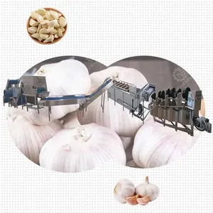 Garlic Processing Line Automatic Chained Garlic Process Line/Garlic Breaking And Peeling Machine for Commercial