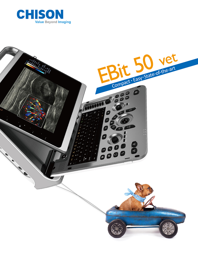 Fábrica Chison Ebit 50 Equipos De Ultrasonido Médico 3D 4D Sistema de Doppler de Color Con Sonda Convexa