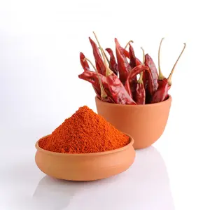 Persediaan pabrik Cina bubuk lada Paprika untuk memasak makanan bumbu rempah kering panas kualitas tinggi bubuk bumbu cabai merah Paprika