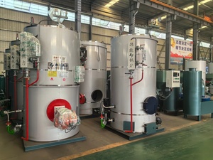 Caldaie Verticali <span class=keywords><strong>a</strong></span> Tubi Incandescenti <span class=keywords><strong>a</strong></span> <span class=keywords><strong>Gas</strong></span> per Uso Industriale, per Riscaldamento e Fornitura di Acqua Calda nell'Industria Alimentare - Product Image 4