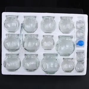 PZ Massage Medical Device Suction Cup Body Ce or C1 Standard Cupping Hijama Glass Cupping Therapy Set