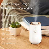 Diffuseur d'arômes portable mini pour voiture et maison, prix usine, rechargeable USB, brume froide sans eau, en plastique, garantie 1 an