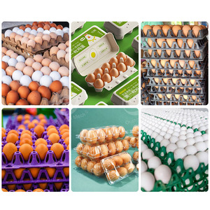 ORME Egg Farm Packer Machine d'emballage de plateaux d'œufs de poulet Machine automatique de tri et d'emballage d'œufs - Product Image 6
