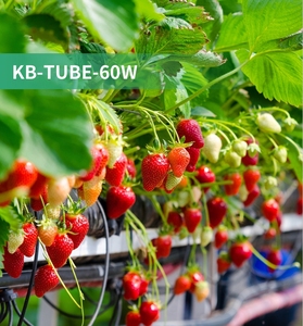 KingBrite Hydroponique Horticulture Intérieur Plante Croissance Bande <span class=keywords><strong>Lampe</strong></span> Ip65 Tube Vertical Agriculture Clone Led Grow Light Bar - Product Image 2