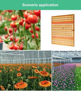 <span class=keywords><strong>2026</strong></span> Nieuwe LED Plantengroei Lamp Vol Spectrum UV IR 85W 65W Aluminium 30x30cm IP55 Bloei Dimbaar - Product Image 6