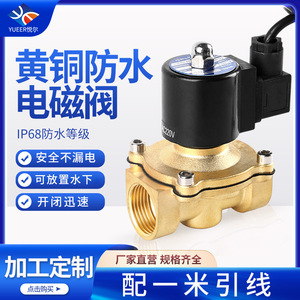 Vanne solénoïde DN15 AC 220V à action directe normalement fermée pour le contrôle de l'eau à usage industriel - Product Image 4