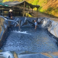 0.5mm 1 mm 1.5mm 2 mm Lembaran Plastik HDPE Geomembran untuk Kolam Tambak, Tahan Air, Anti UV, dan Kedap Air untuk Budidaya Perikanan