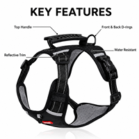 Harnais anti-traction pour chien en maille Oxford avec poignée supérieure, boucle à dégagement rapide, sangle réfléchissante, tailles XS-XL, logo personnalisé, gilet de promenade pour animaux de compagnie, vente en gros
