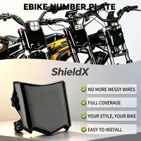 Plaque de protection Moto Style Surron Light Bee Ultra Bee Numder Plate ShieldX, autocollant personnalisé en gros, accessoires moto Surron LBX