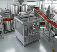 Machine de remplissage automatique de liquides à piston électrique avec contrôle PLC, pompe/moteur pour l'emballage de boissons, d'aliments et de produits en sacs plastiques