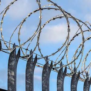 Fil de fer barbelé simple galvanisé en bobine, anti-corrosion, pour la construction de clôtures de sécurité, protection en fil de fer - Product Image 4