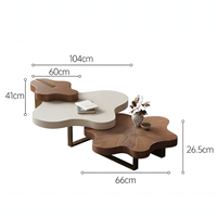 Table Basse Nuage Moderne de Luxe Léger Italien, Ensemble de Tables Basses Créatives Irrégulières, Plateau en Bois Personnalisable Écologique pour Salon