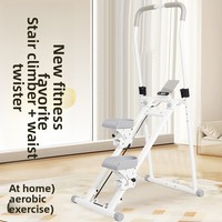 Appareil d'escalade d'intérieur avec disque rotatif Modèle HCM04C - Équipement de fitness