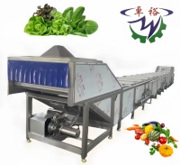 Fruit- en groenteverkookmachine voor frieten, aardappelchips en groenten