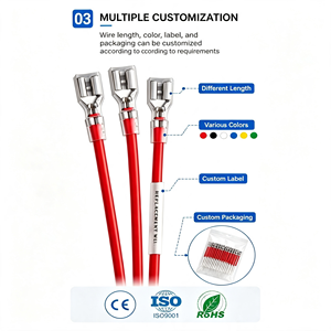 Connecteurs mâles et femelles personnalisés XT60 <span class=keywords><strong>XT</strong></span>-60, fiches PTFE, fil de cuivre pur <span class=keywords><strong>12V</strong></span> 14 AWG, pour batterie Lipo RC, quadricoptère, multicoptère - Product Image 4