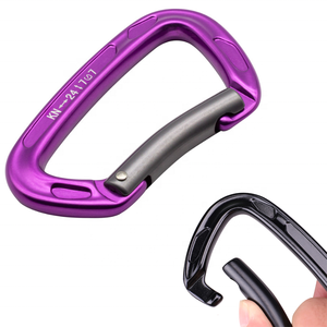 Moschettone in Alluminio 24KN con Anello a D e Gancio a Molla per Portachiavi - Product Image 1