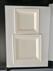 Vente en gros Assiette carrée en pâte à papier biodégradable et compostable écologique - Product Image 5