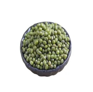 Supply a large number of mung beans from manufacturers to meet the large purchase of Vietnam