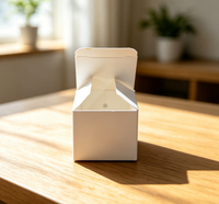 Boîte d'emballage cosmétique minimaliste à double pliage, personnalisée avec gaufrage et estampage à chaud, pour l'emballage de flacons de sérum et d'huile de soin de la peau