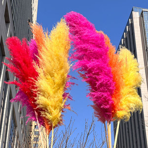 Meilleures ventes Herbe de la <span class=keywords><strong>pampa</strong></span> rouge brun foncé Décoration Fleurs artificielles faites à la main de qualité supérieure pour la fête des mères Retour à l'école Naturel - Product Image 6