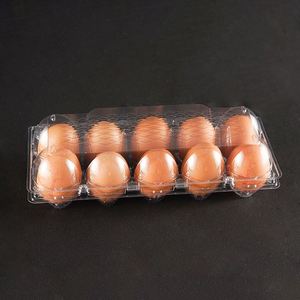 Eco Friendly Refrigerator PET <b>Plastic</b> Fresh Disposable Clamshell Rectangular 10 Pieces Food Transparent or Custom Color Egg <b>Tray</b> - Product Image 1