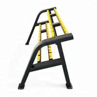 Support de Rangement Double Niveau pour Haltères – Équipement Commercial de Gymnastique – Organisateur de Poids pour Haltères de Gym à Domicile – OEM CE