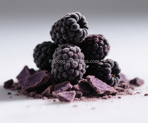 Gran oferta, 50g, aperitivos de frutas liofilizadas, sabor dulce, Etiqueta Privada, moras secas, <span class=keywords><strong>cerezas</strong></span> agrias sin azúcar, fabricantes de China - Product Image 4
