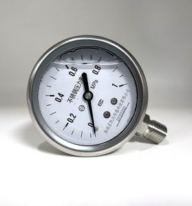 कारखाने की कीमत xingkaea स्टेनलेस स्टील उच्च दबाव 0 ~ 30mpa वैक्यूम तेल ईंधन तरल पानी भरा गेज मीटर ओएम/ओडम - Product Image 1