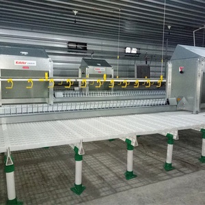 Sistema de Piso de Rejilla para Gallinero, Alfombra de Malla de Rejilla, Cría de Pollos, Avicultura, Piso de Plástico para Aves de Corral - Product Image 4