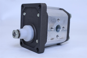 Pompe à engrenages de remplacement série PFG PFG1 PFG2 PFG3, pompe hydraulique à cylindrée fixe, pompe à engrenages simple PFG-214-D-RD - Product Image 5