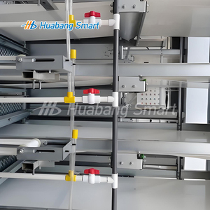 Cage à poulets de type H galvanisée à chaud, système de cages avicoles automatiques, équipement pour poulets de chair et pondeuses avec système <span class=keywords><strong>d</strong></span>'évacuation du fumier - Product Image 4