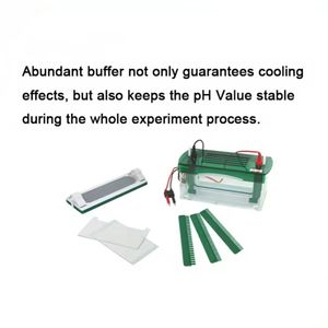 Vasca per Elettroforesi Verticale a Doppia Piastra AY-JY-JX5 186 X 95 mm - Product Image 2