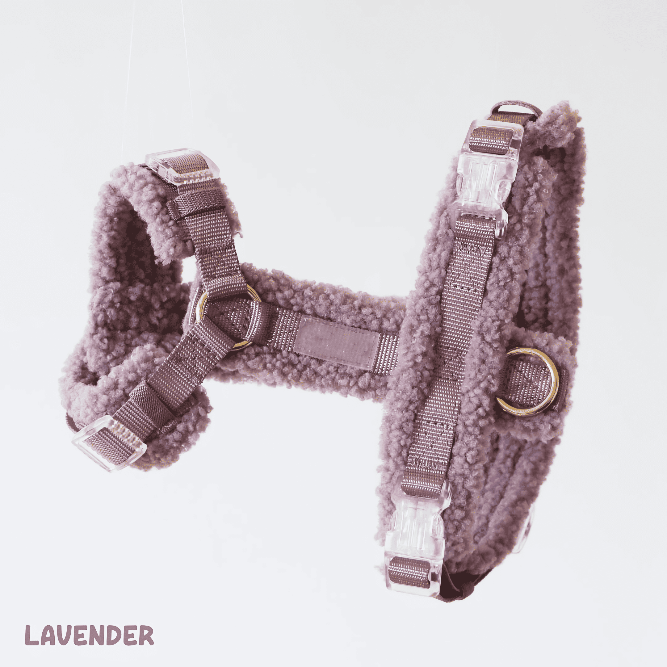 LAVENDER