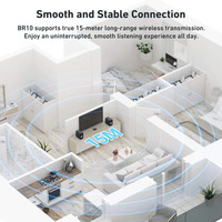 新品上市 Arylic LP10 流媒体 Airplay2 Google Cast Spotify Connect 智能控制 钢塑无线音频接收器