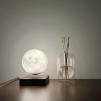 Vente directe d'usine nouveau Design diffuseur en verre Transparent bouteille d'huile de luxe roseau décor à la maison besoin naturel anti-moustique