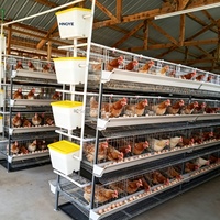 Cage à poulets de chair en forme de H à plusieurs niveaux, gain de place pour les exploitations avicoles à grande échelle