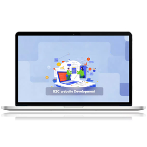 Dịch vụ trang web thương mại điện tử B2C tùy chỉnh thiết kế và phát triển giải pháp WordPress - Product Image 5