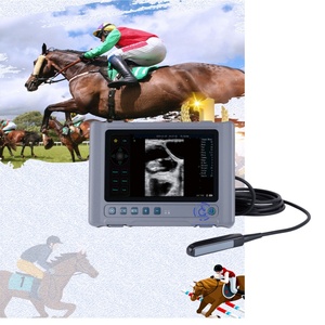 Equipo <span class=keywords><strong>de</strong></span> Ultrasonido Médico DP10 en Blanco y Negro, <span class=keywords><strong>Precio</strong></span> <span class=keywords><strong>de</strong></span> Máquina <span class=keywords><strong>de</strong></span> Ultrasonido Portátil, Escáner Veterinario - Product Image 1