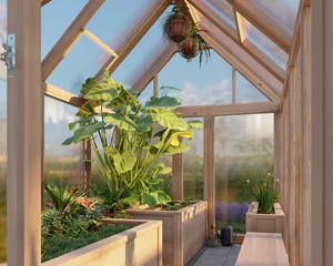 Vérins et maisons en verre Cèdre encadré Hobby Green House <span class=keywords><strong>Serre</strong></span> en bois pour l'extérieur, maison chaude de jardinage avec évent de toit - Product Image 4