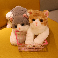 Poupée chat mignon poupée chaton poupée confort enfants dormir oreiller peluche poupée fille