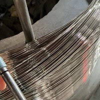 1mm bis 6mm Flexibles Edelstahl-Drahtseil |   Edelstahlkabel für Bürogebäude-Geländer & Dekoration |   Langlebiger Rostschutzdraht